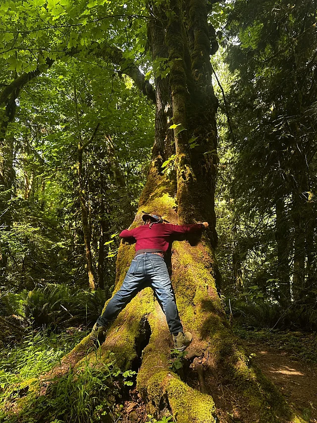 Izzy with his arms around an old-growth trunk